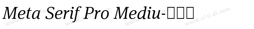 Meta Serif Pro Mediu字体转换